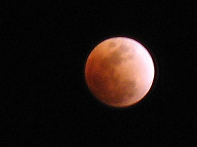 Closeup02a