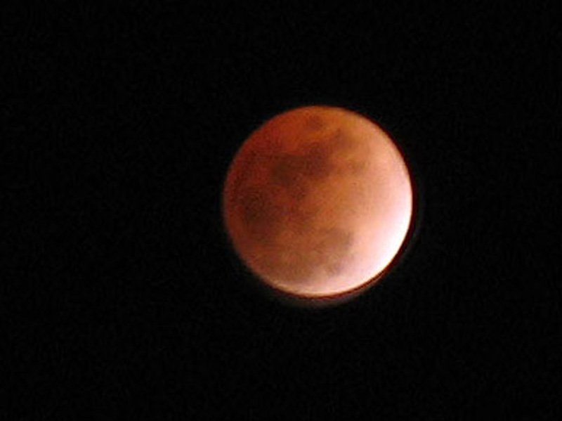Closeup05a