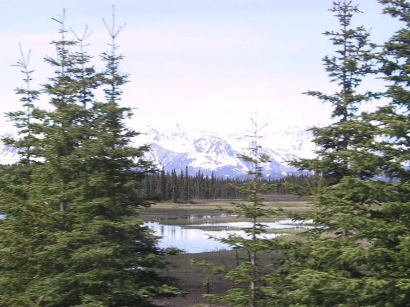 IMG_0385