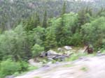 IMG_0719